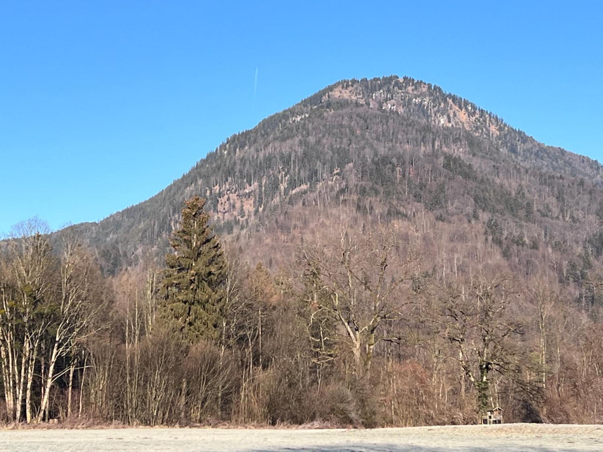Ferienwohnung Bergwelten Oberaudorf Extérieur photo